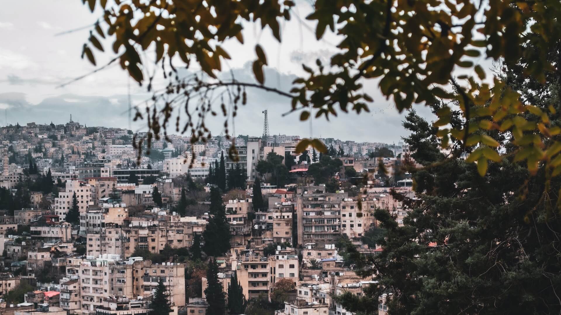 Winter in Amman