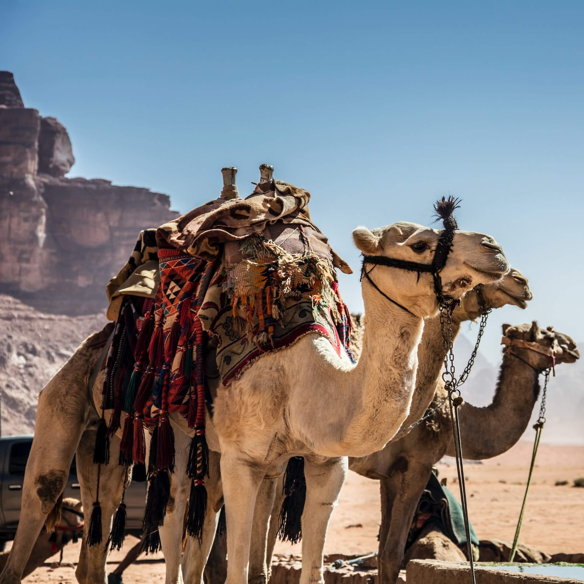 Wadi Rum