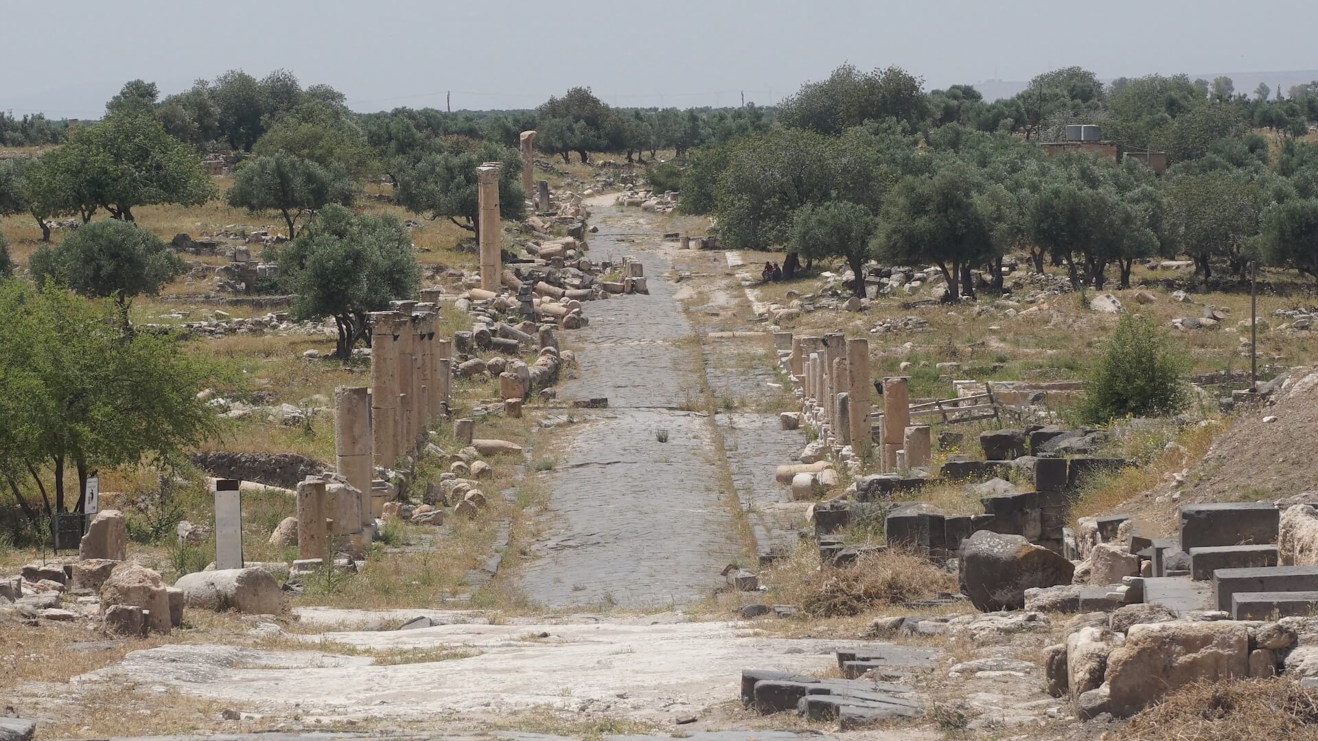 Umm Qais en Jerash bezoeken in één dag vanuit Amman