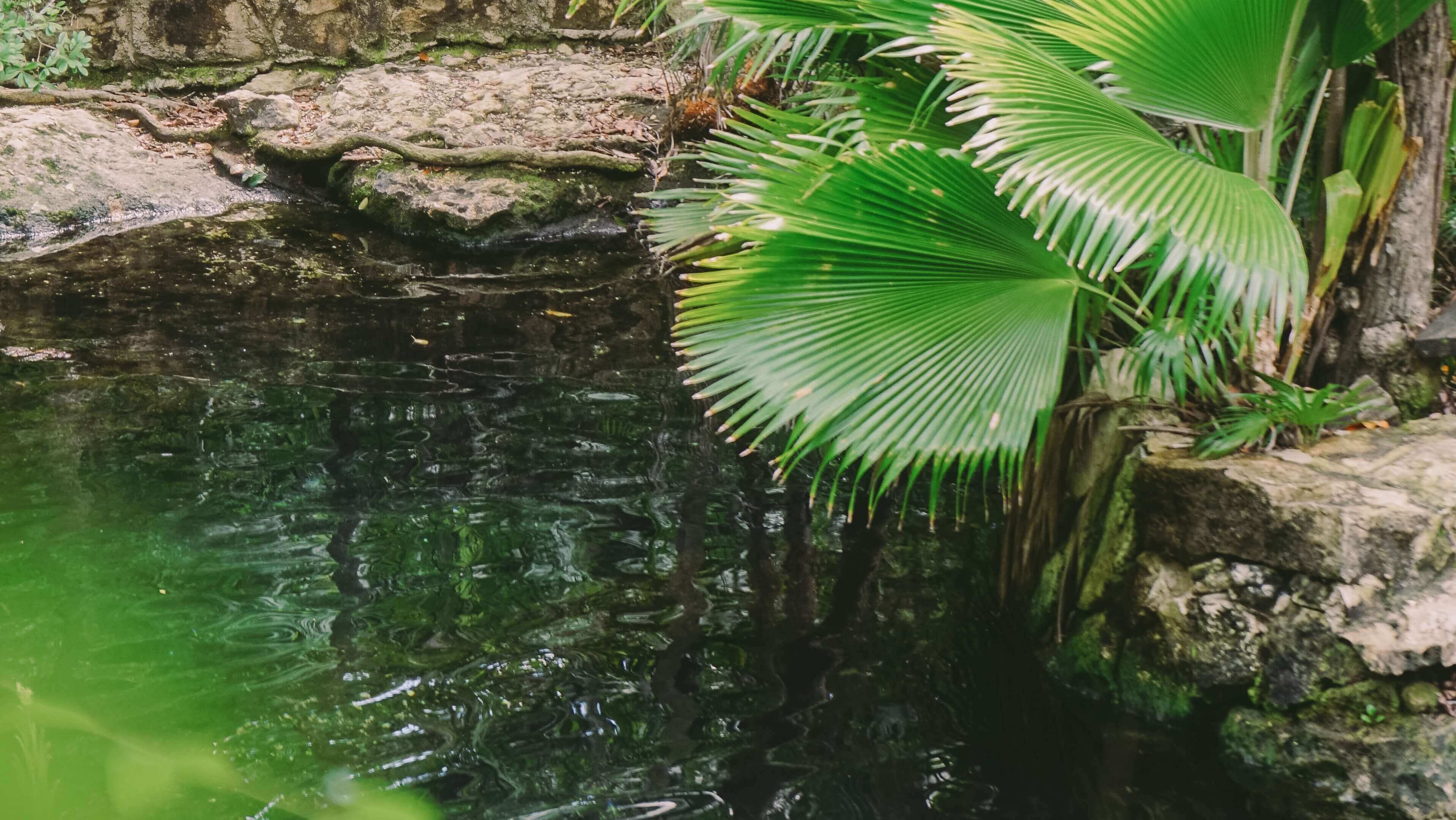 Cenote Azul