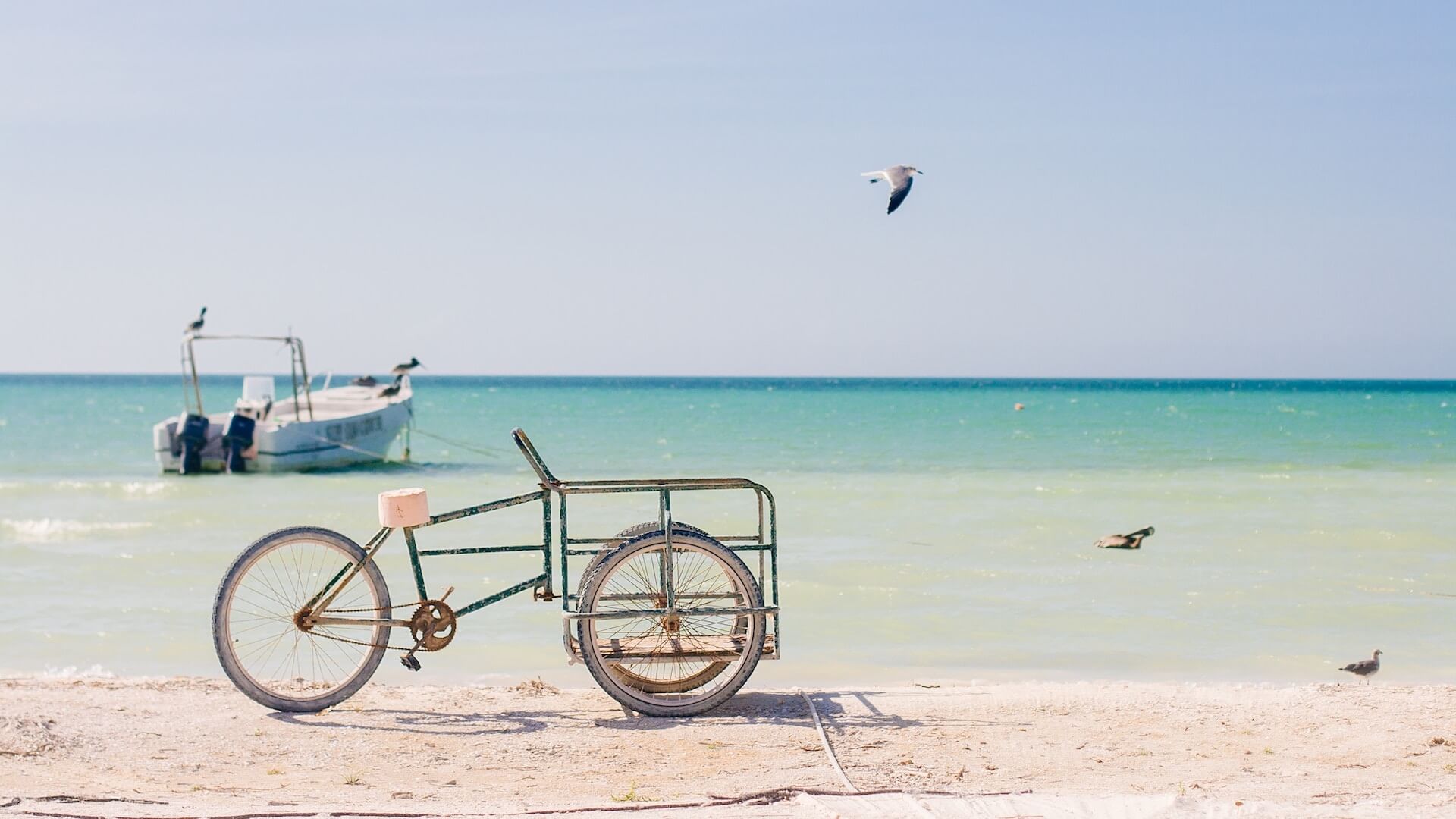Isla Holbox: dingen om te doen