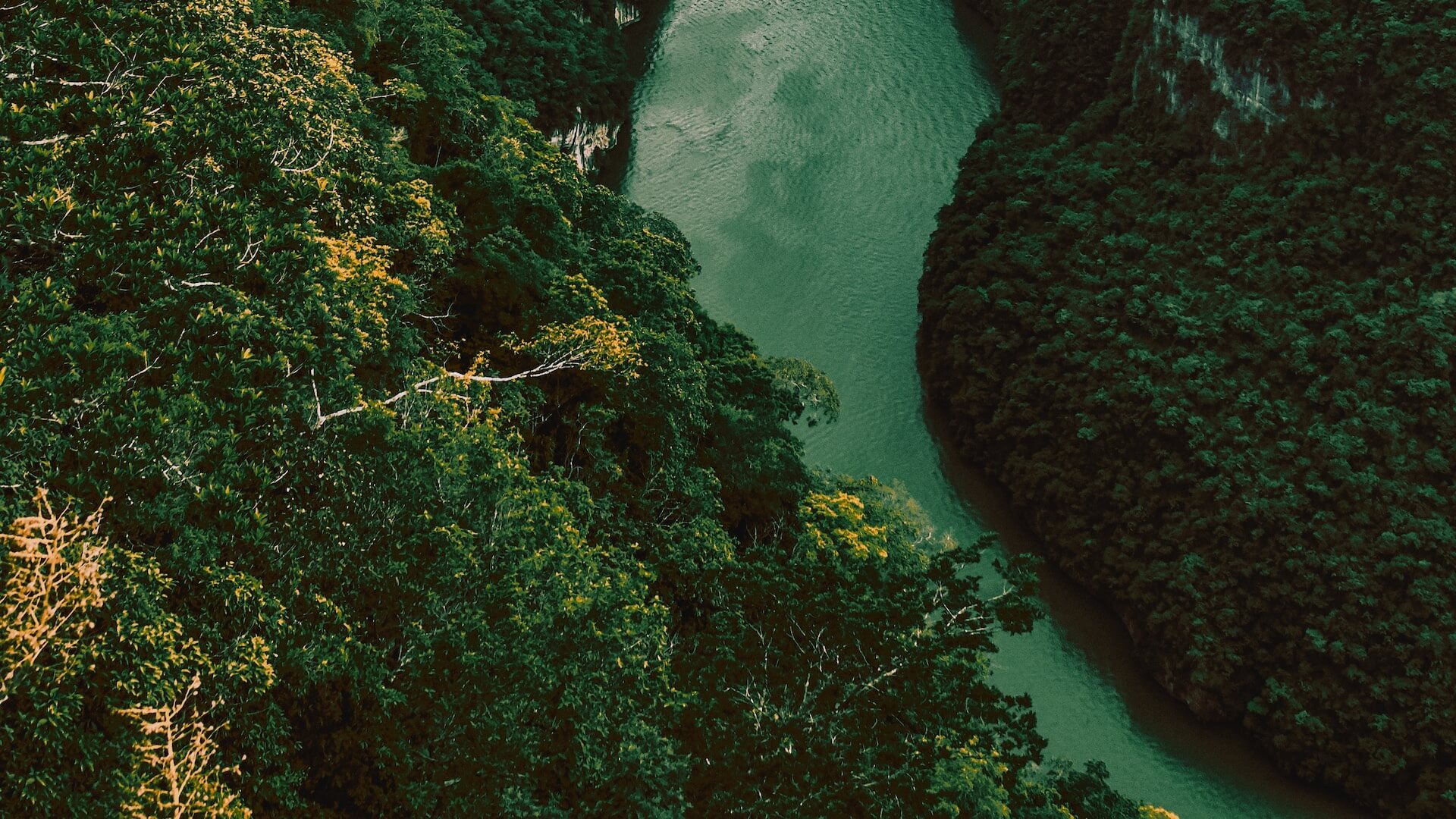 5 dingen om te doen in Chiapas, Mexico