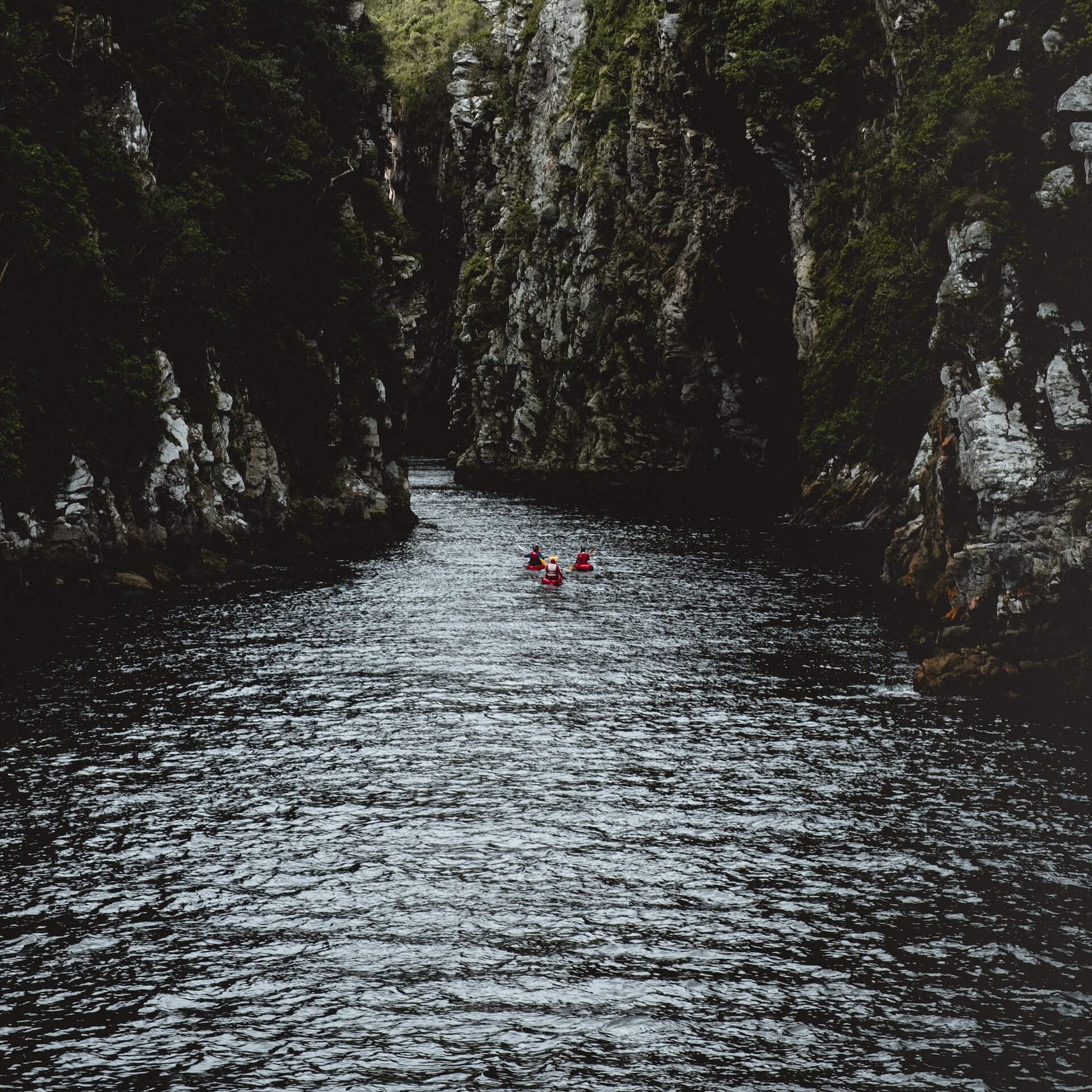 Kajakken in Tsitsikamma National Park