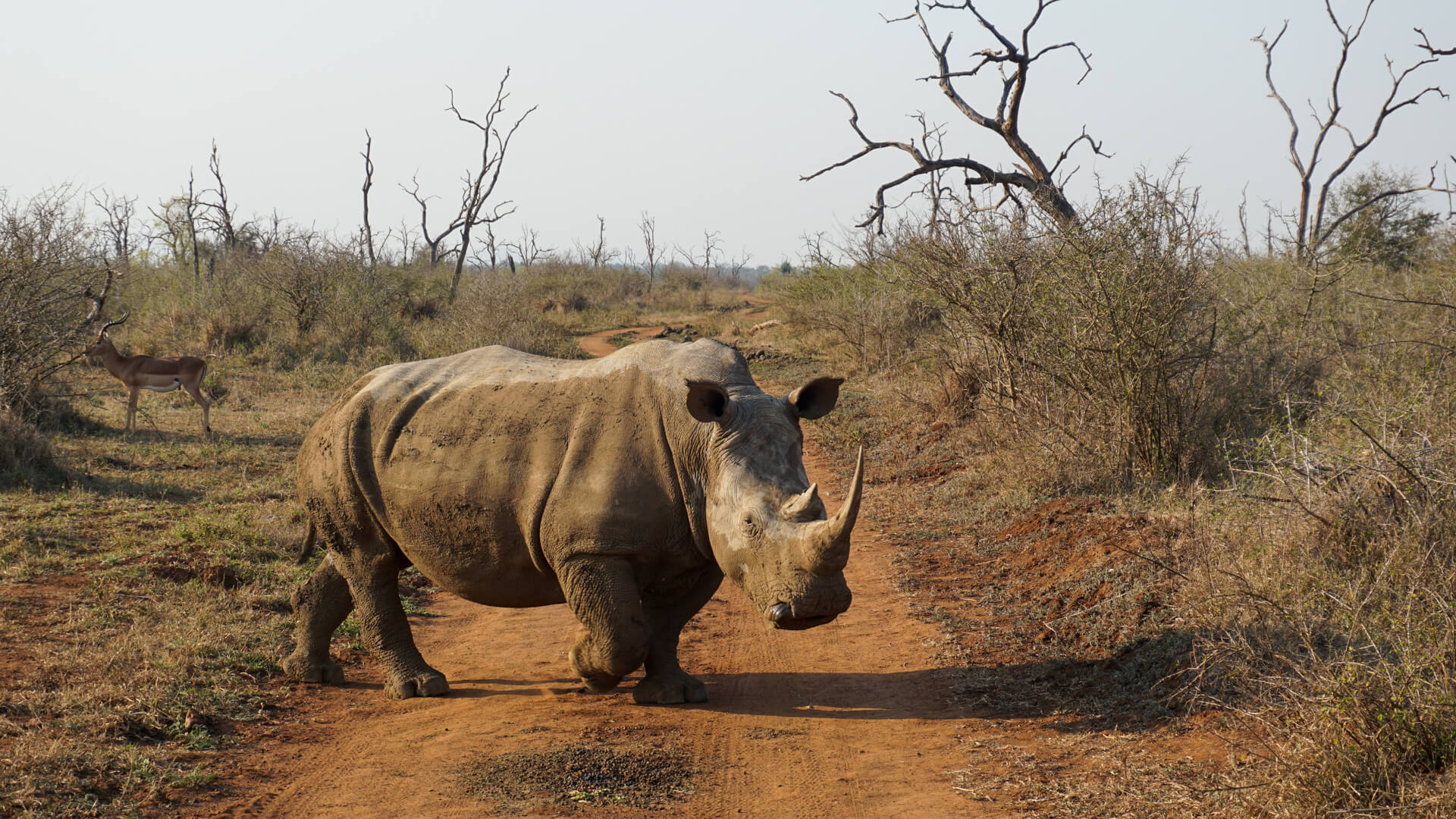 Wat te doen in Swaziland (Eswatini)?