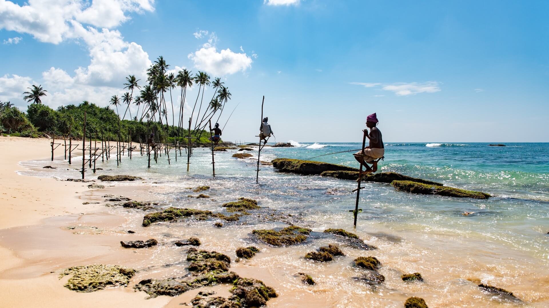 Sri Lanka bezoeken: de beste reistijd