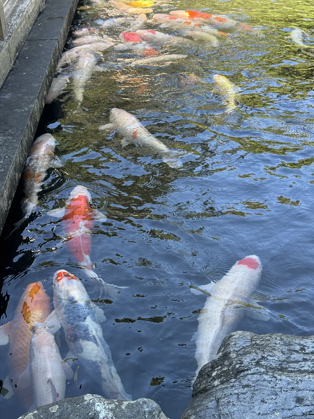 Ryozen-ji Temple