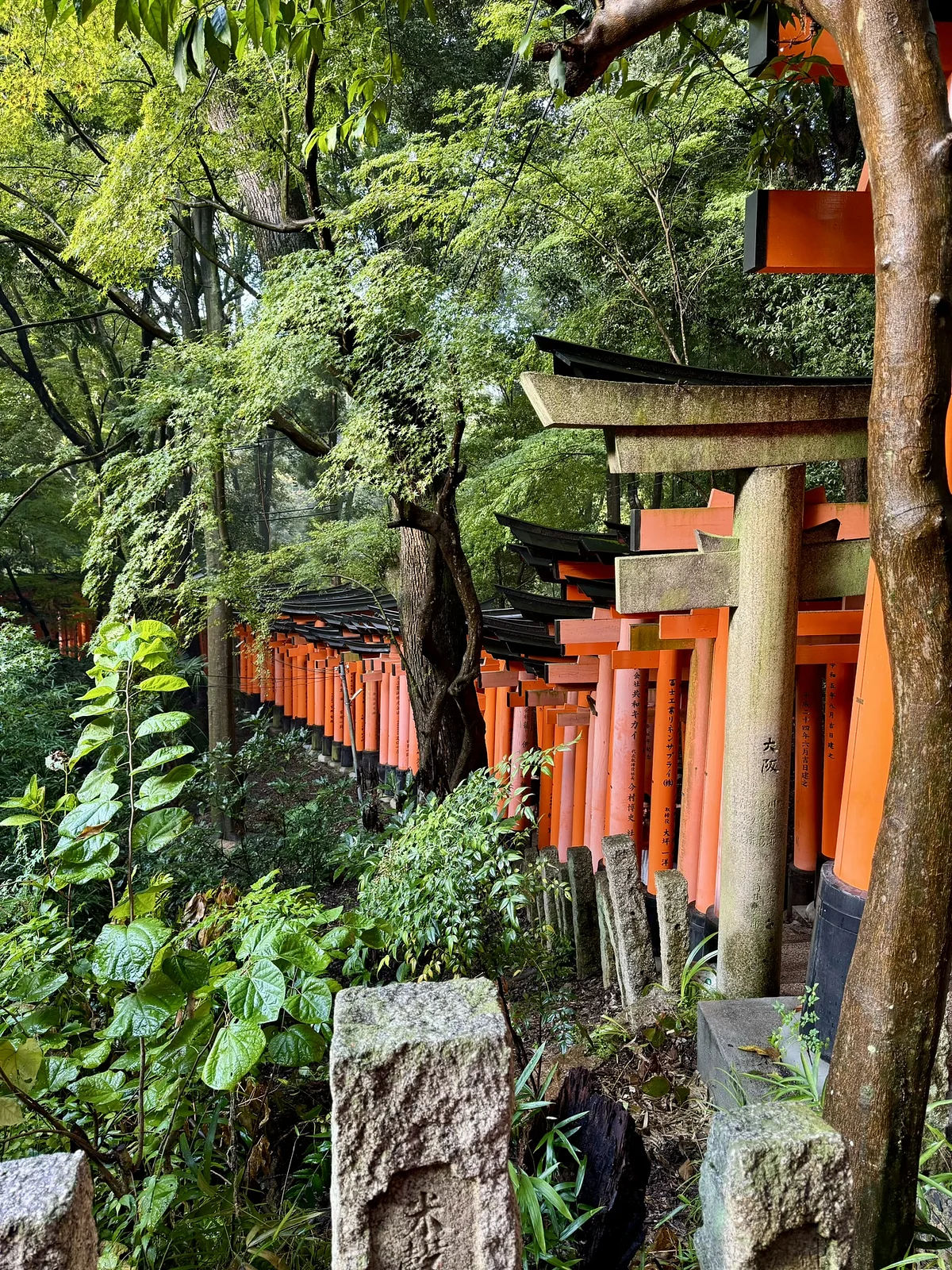 Fushimi Inari-taisha