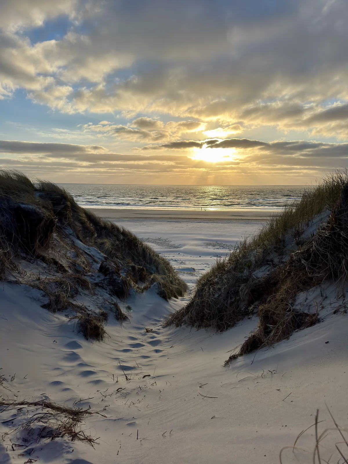 Børsmose Strand Camping & Café