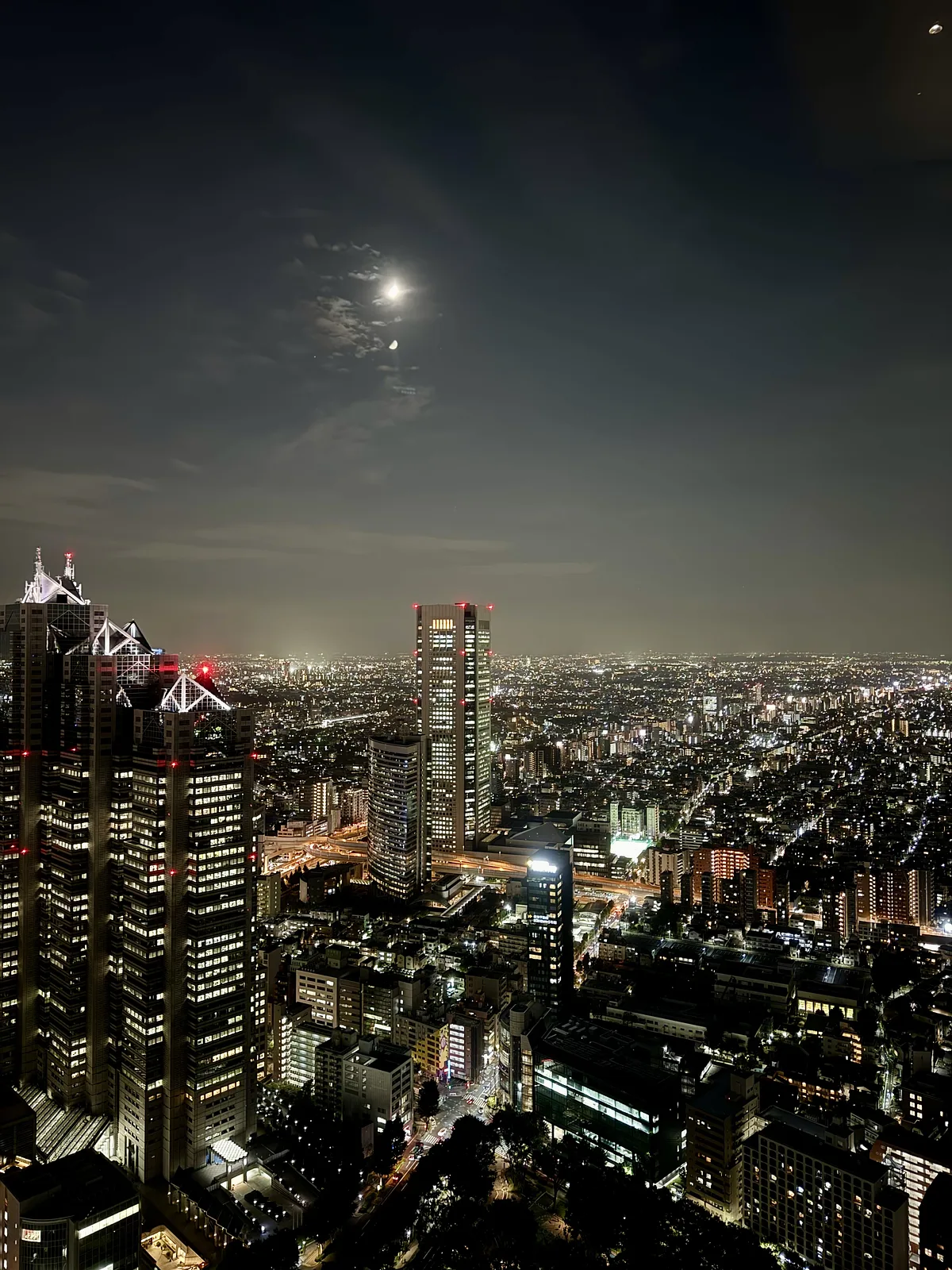 Tokyo Metropolitan Government Building No.1
