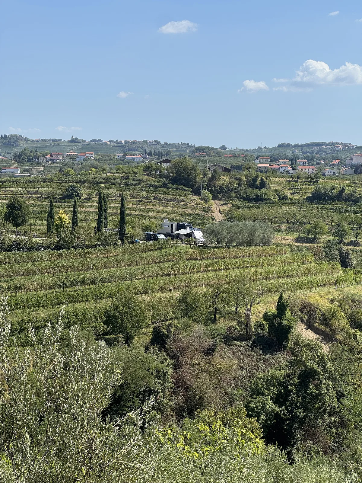 Vina Sosolič – foto 1