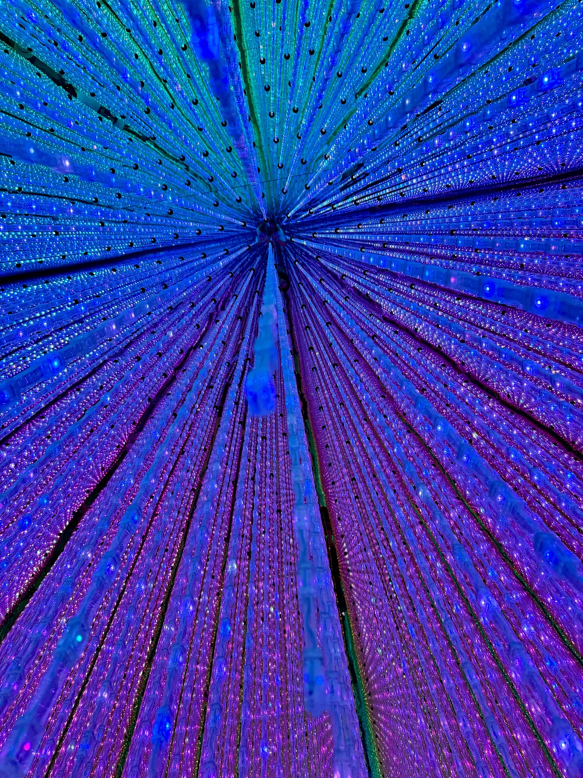 teamLab Planets TOKYO DMM