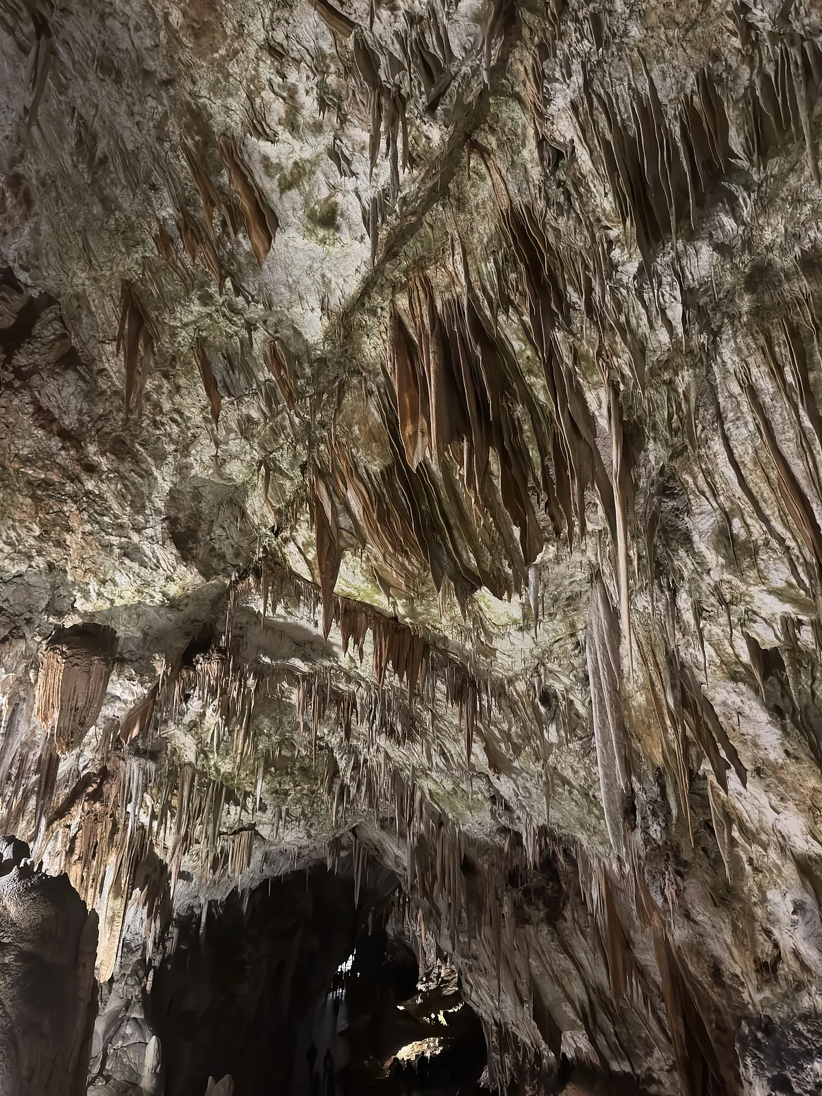 Postojna Cave – foto 1