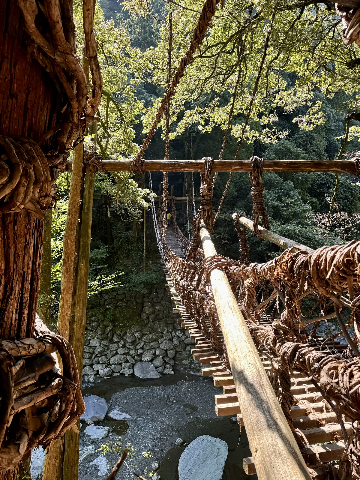 Vine Bridge in the Iya Valley
