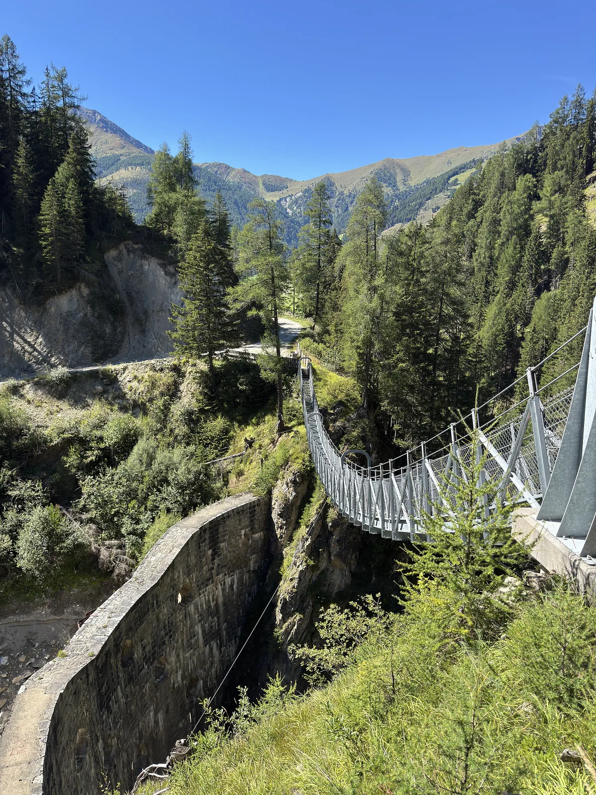 Hängebrücke Hike #37 – foto 1