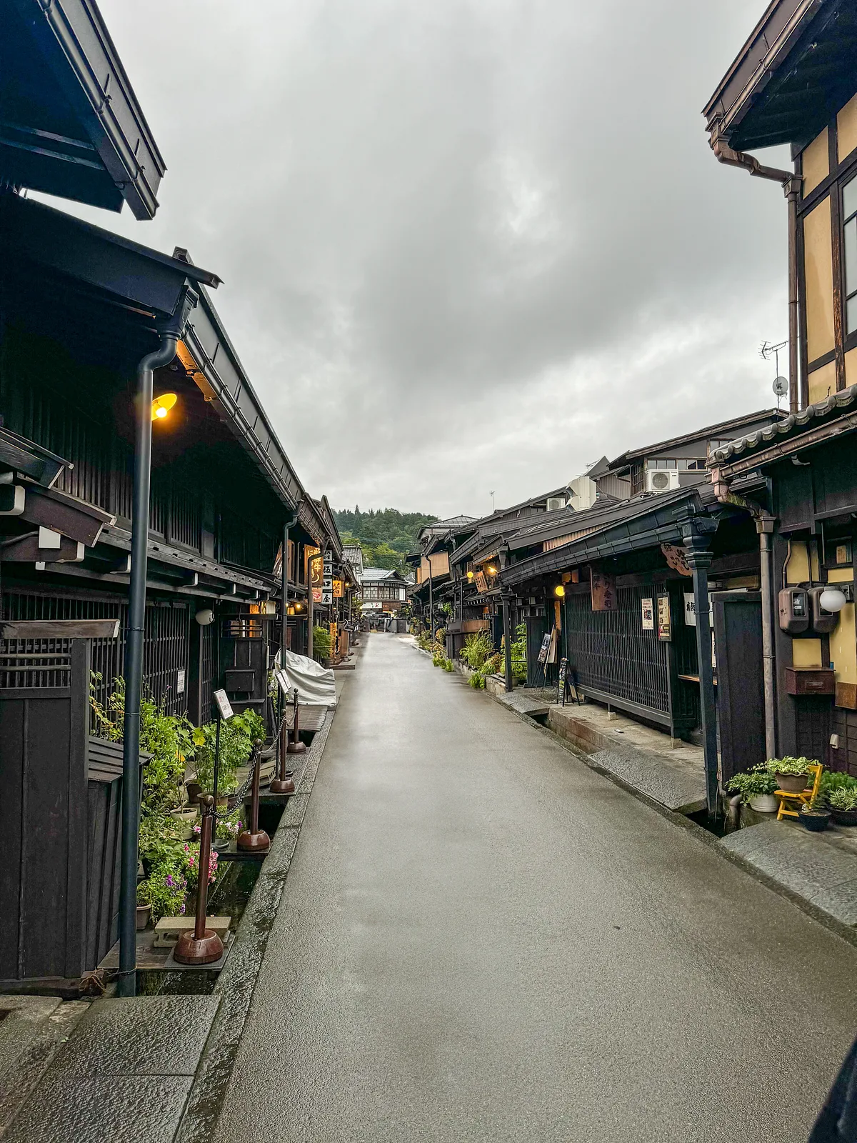 Miyagawa Morning Markets