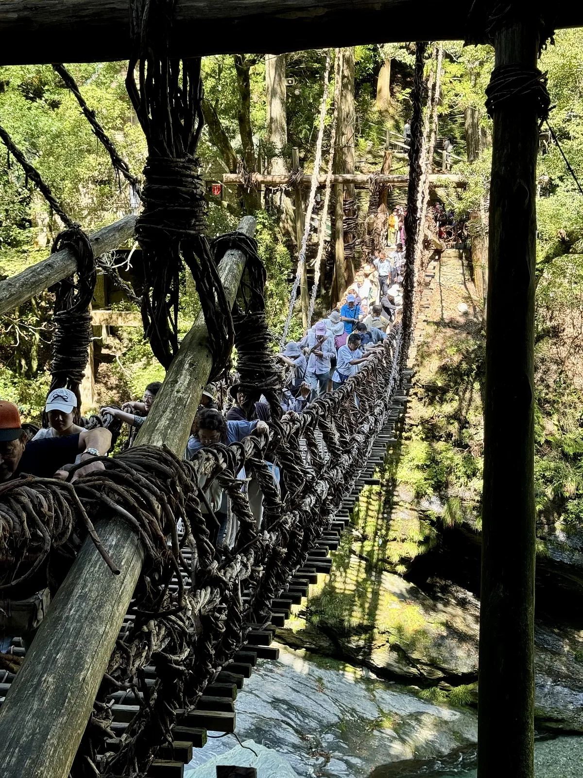 Vine Bridge in the Iya Valley