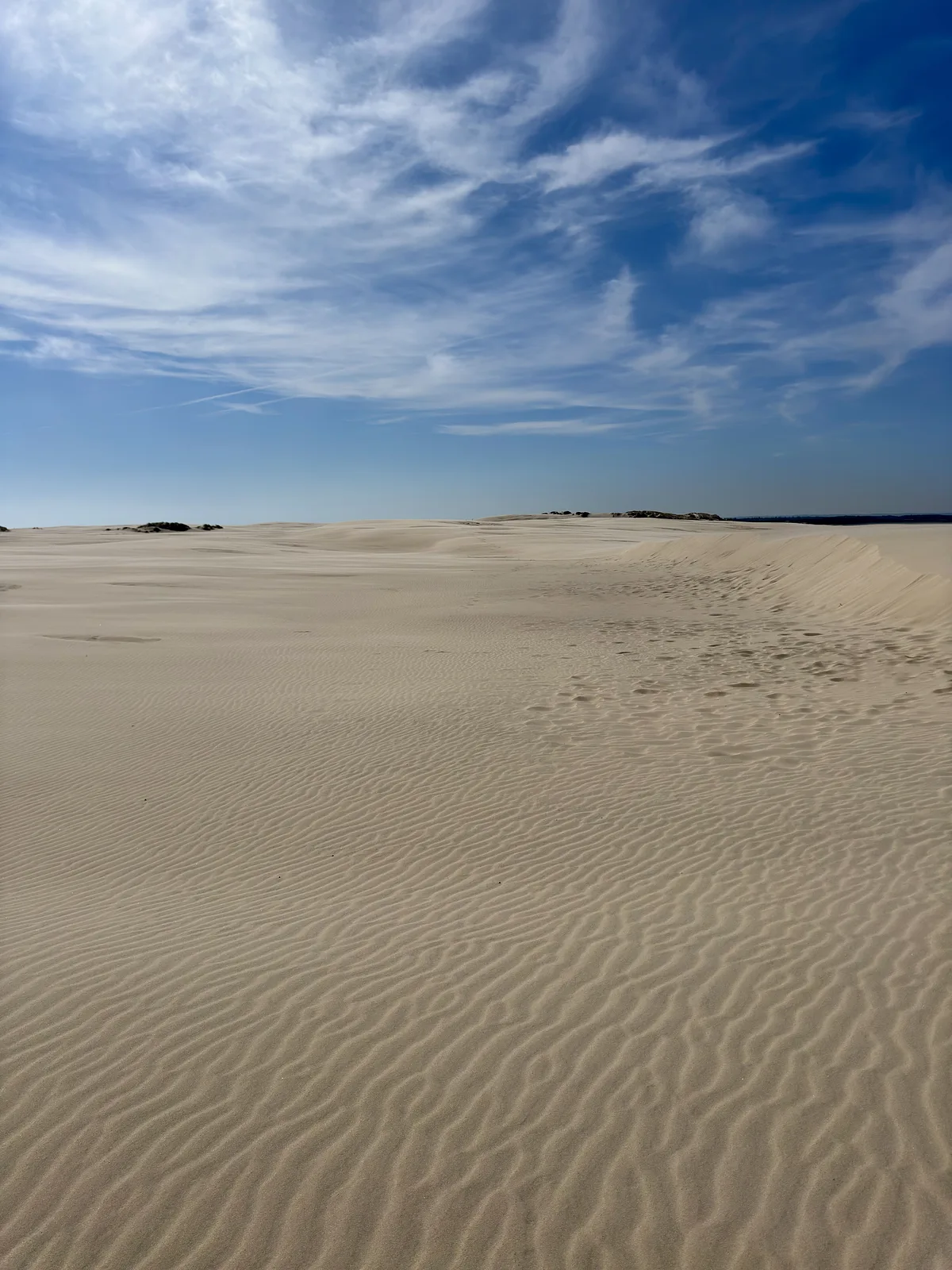 Råbjerg Mile