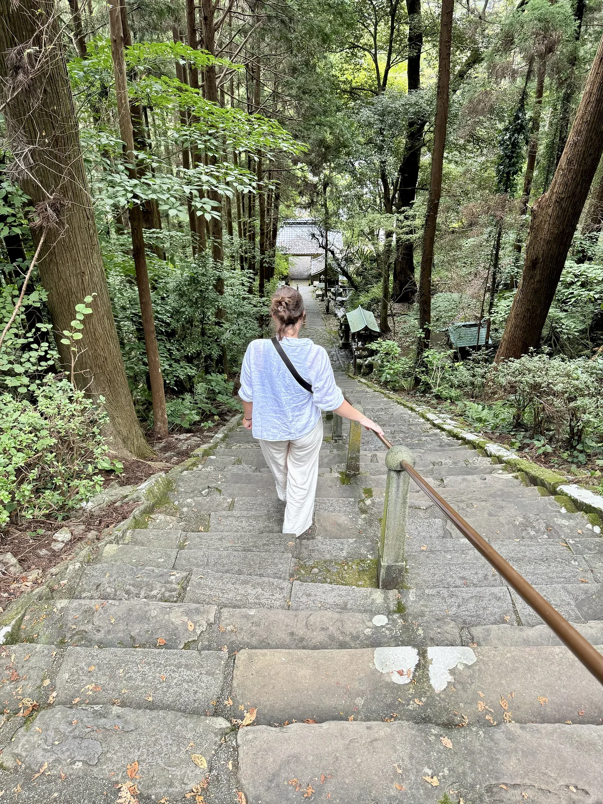 Temple No. 36 - Shōryūji