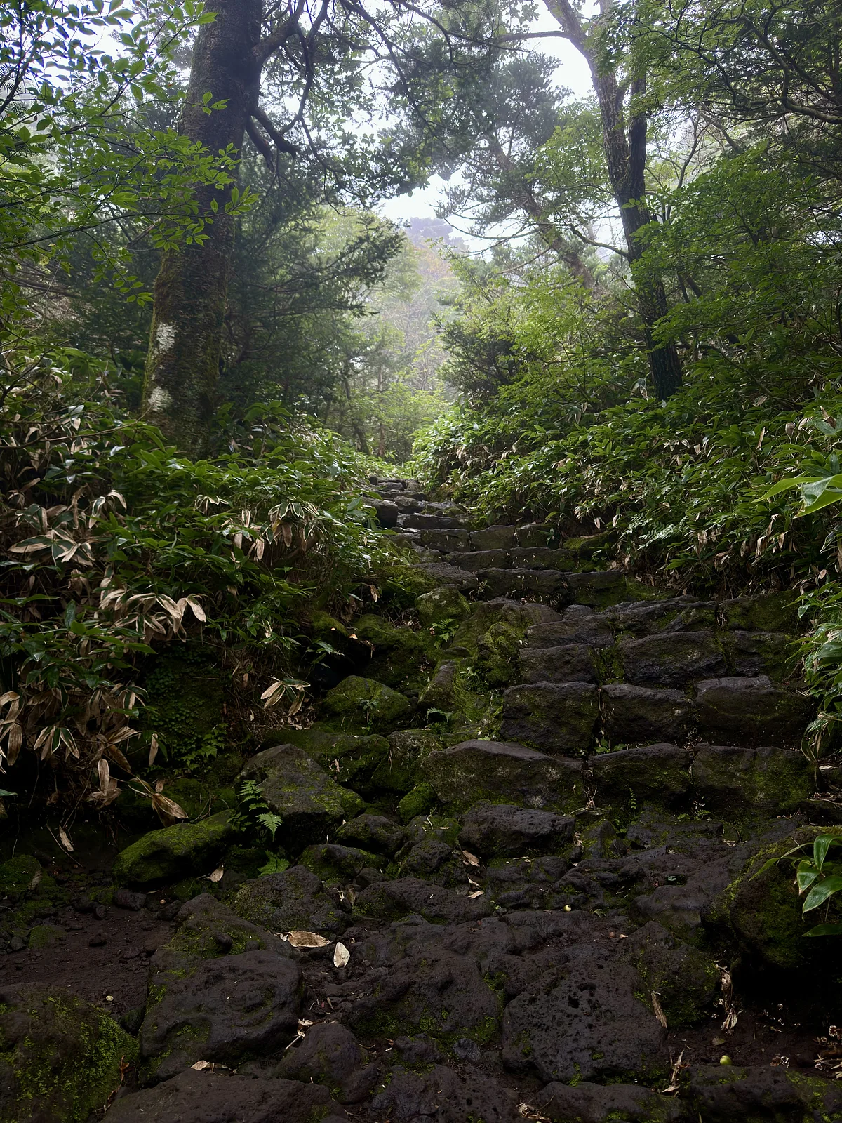 Seongpanak Trail