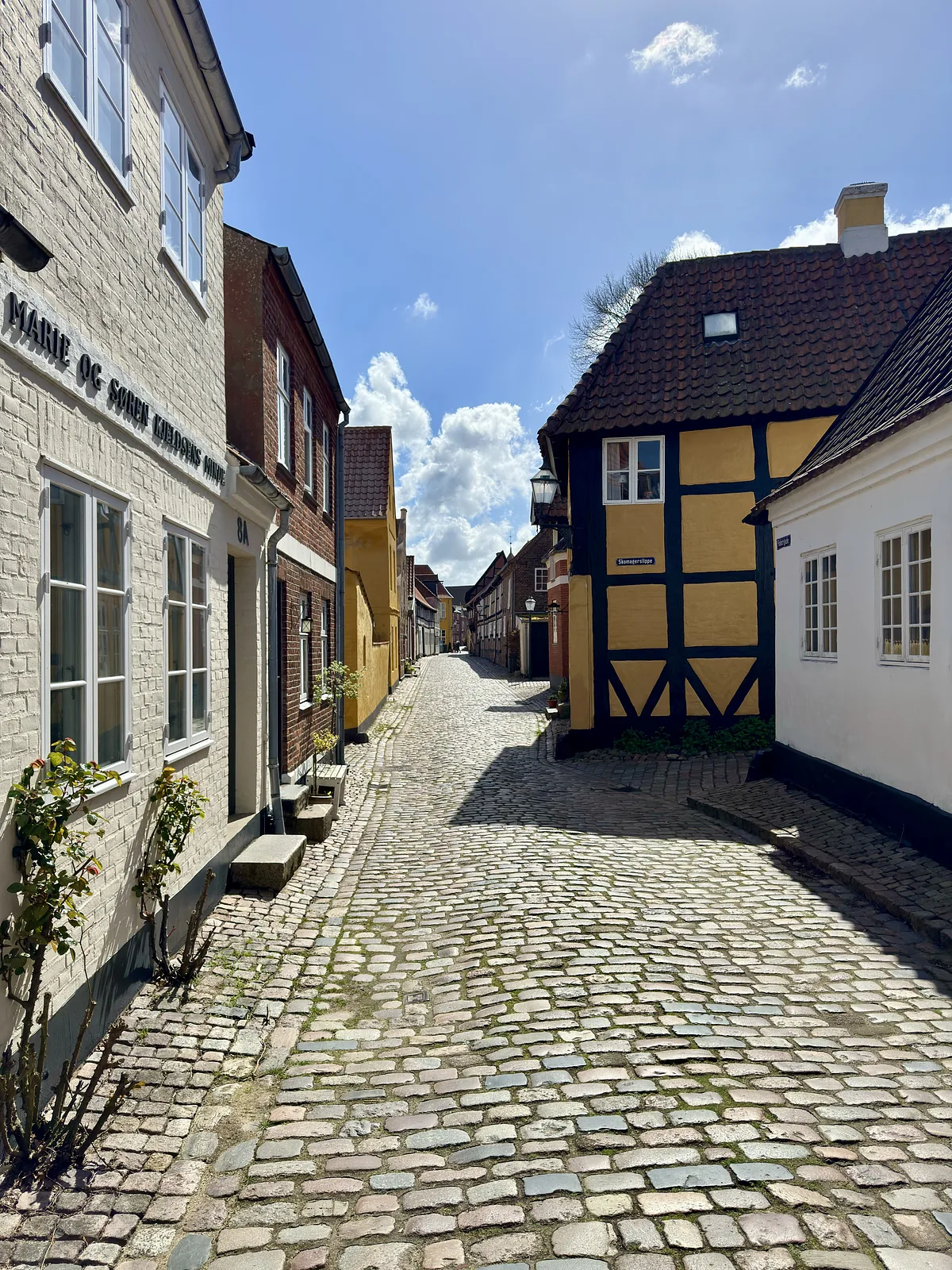 Ribe stadswandeling