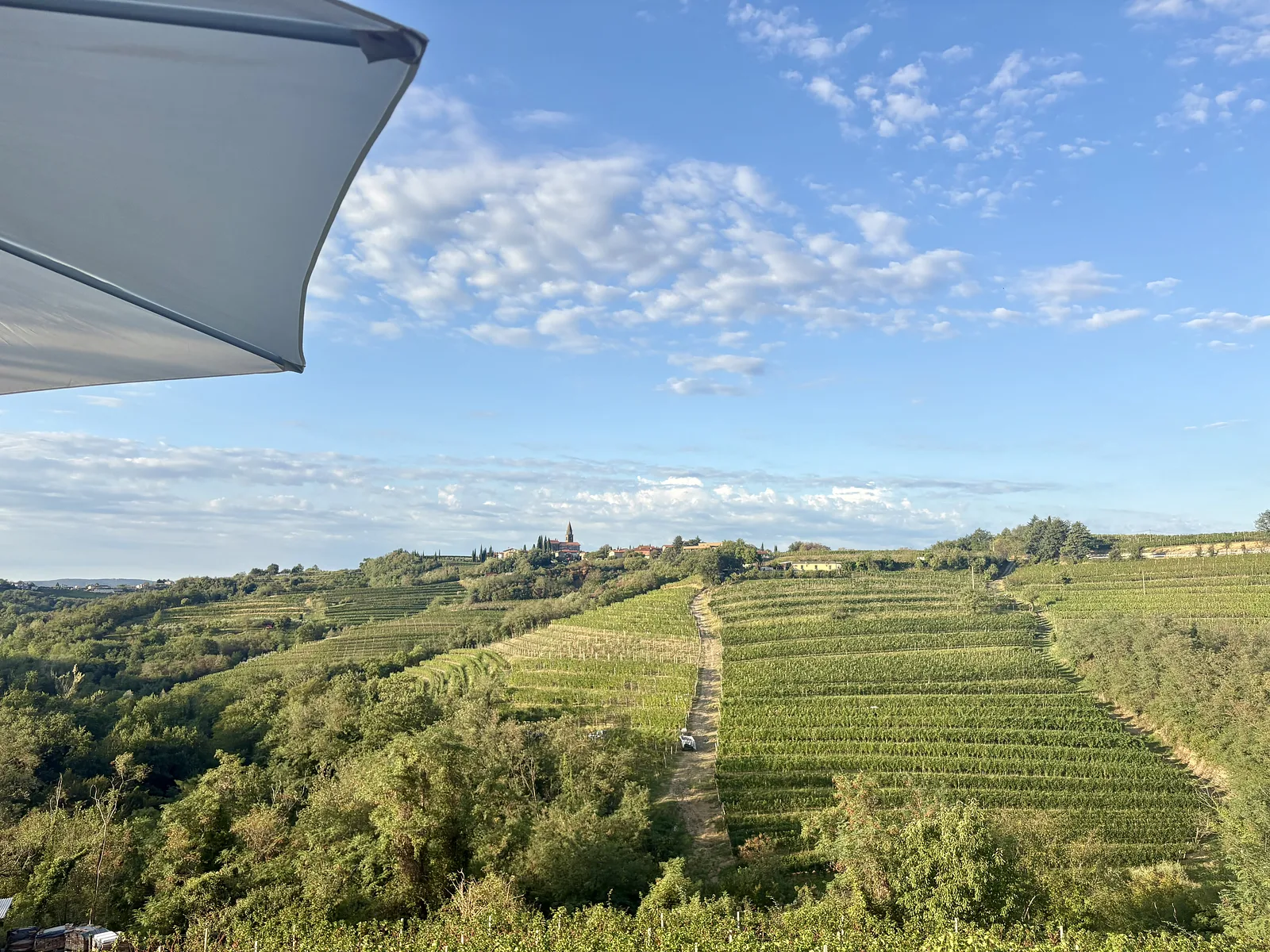 Vina Sosolič – foto 2