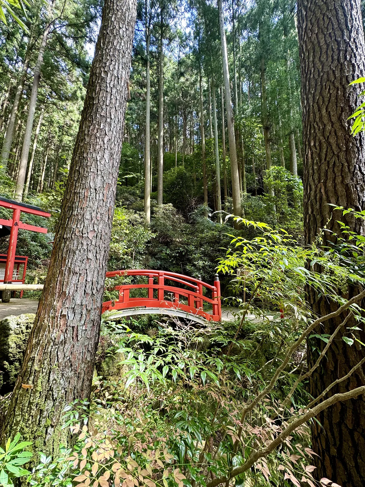 Nanzoin Temple
