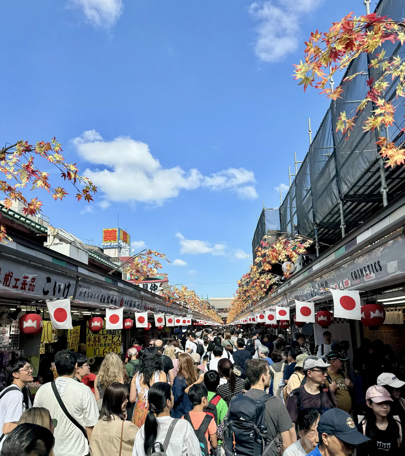 Nakamise Shopping Street