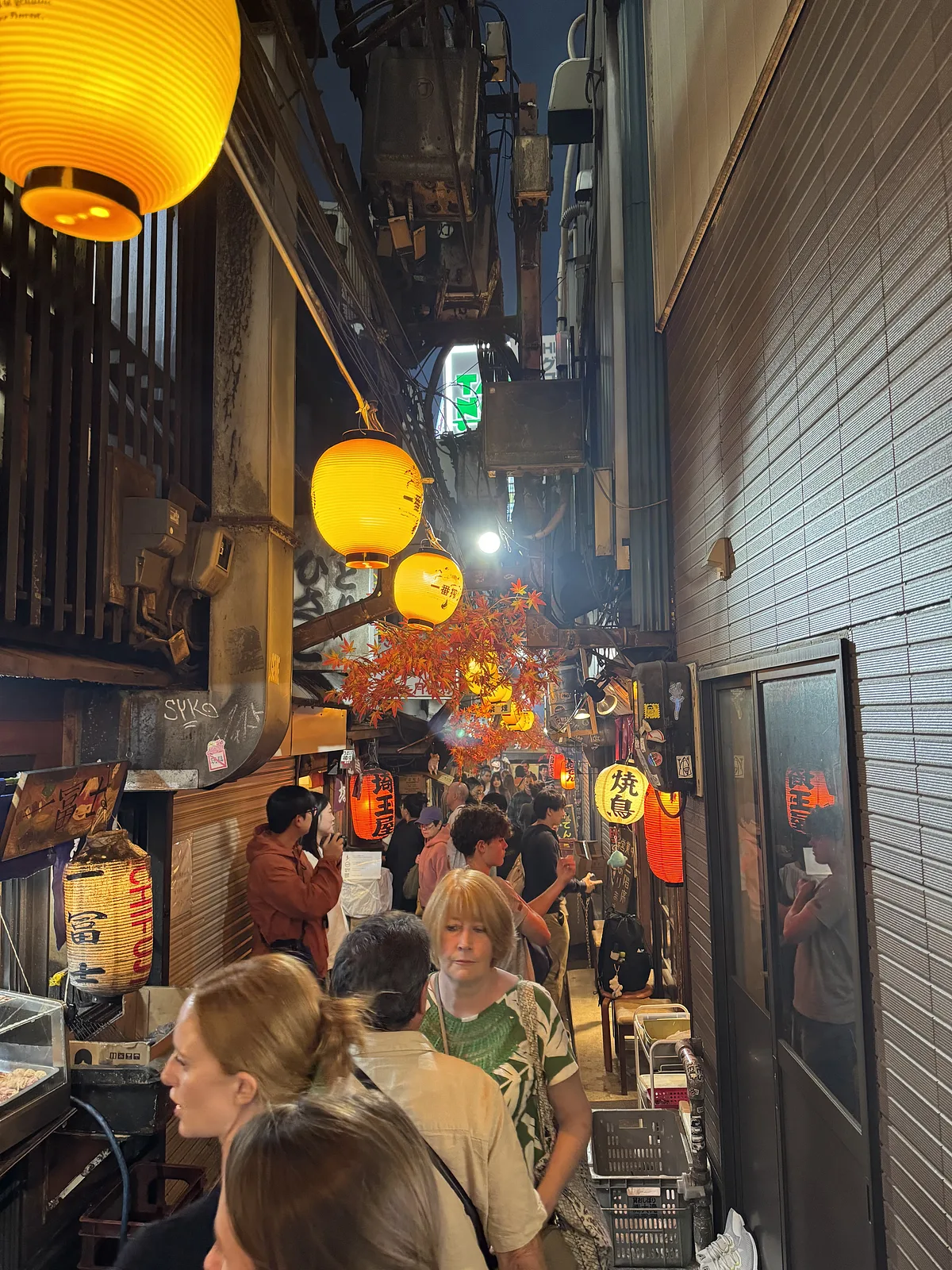 Omoide Yokocho Memory Lane
