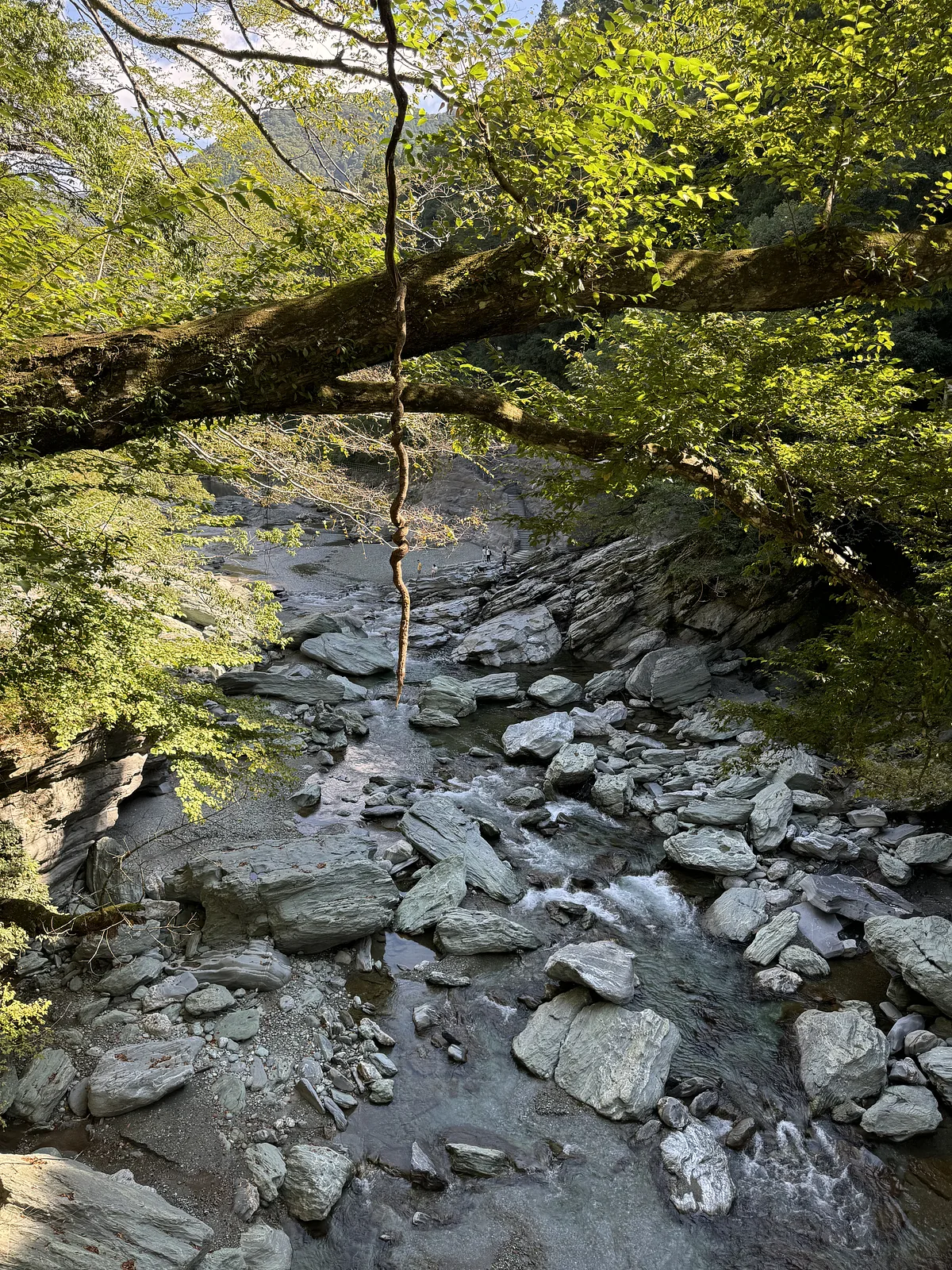 Vine Bridge in the Iya Valley