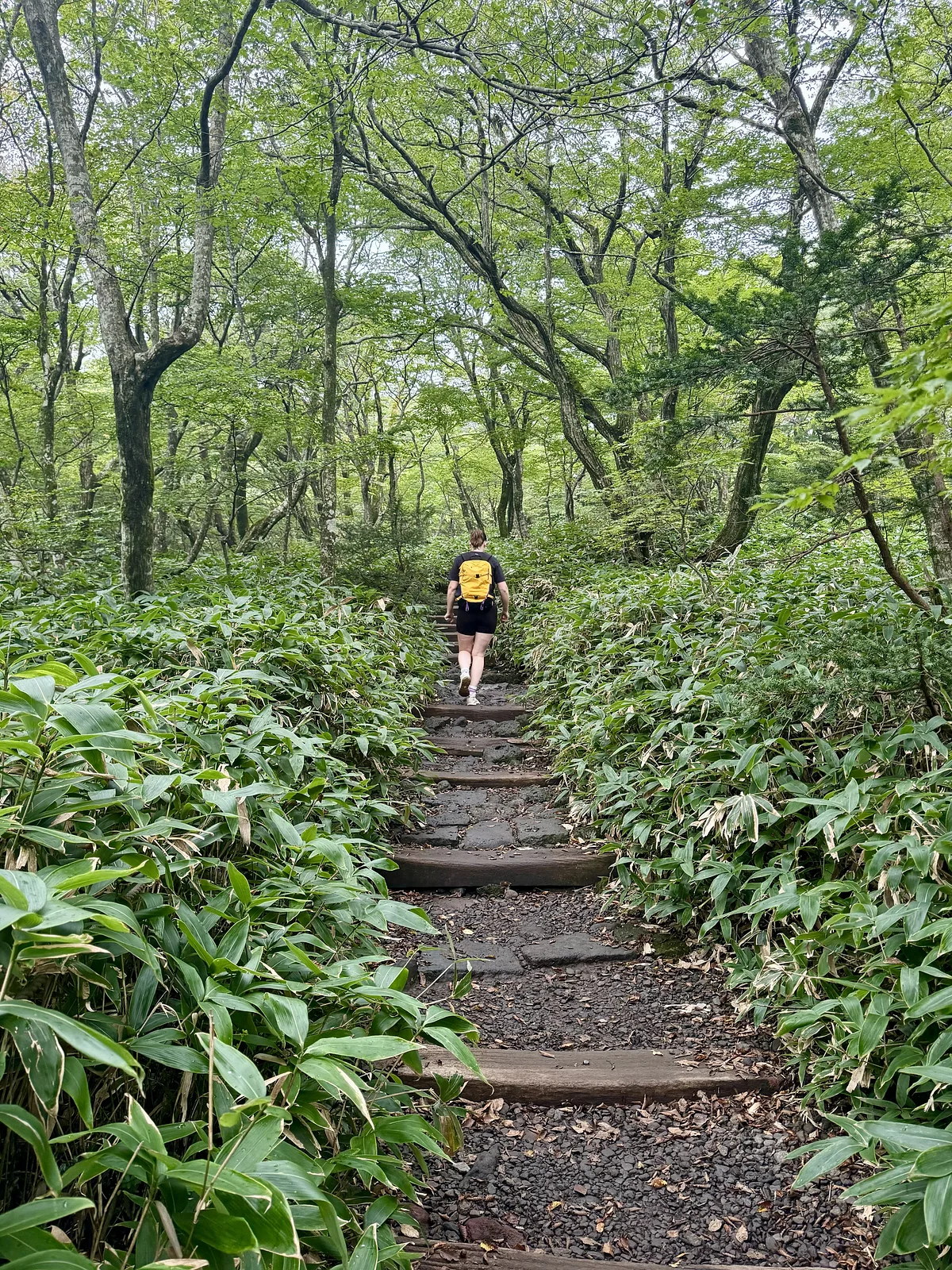 Seongpanak Trail