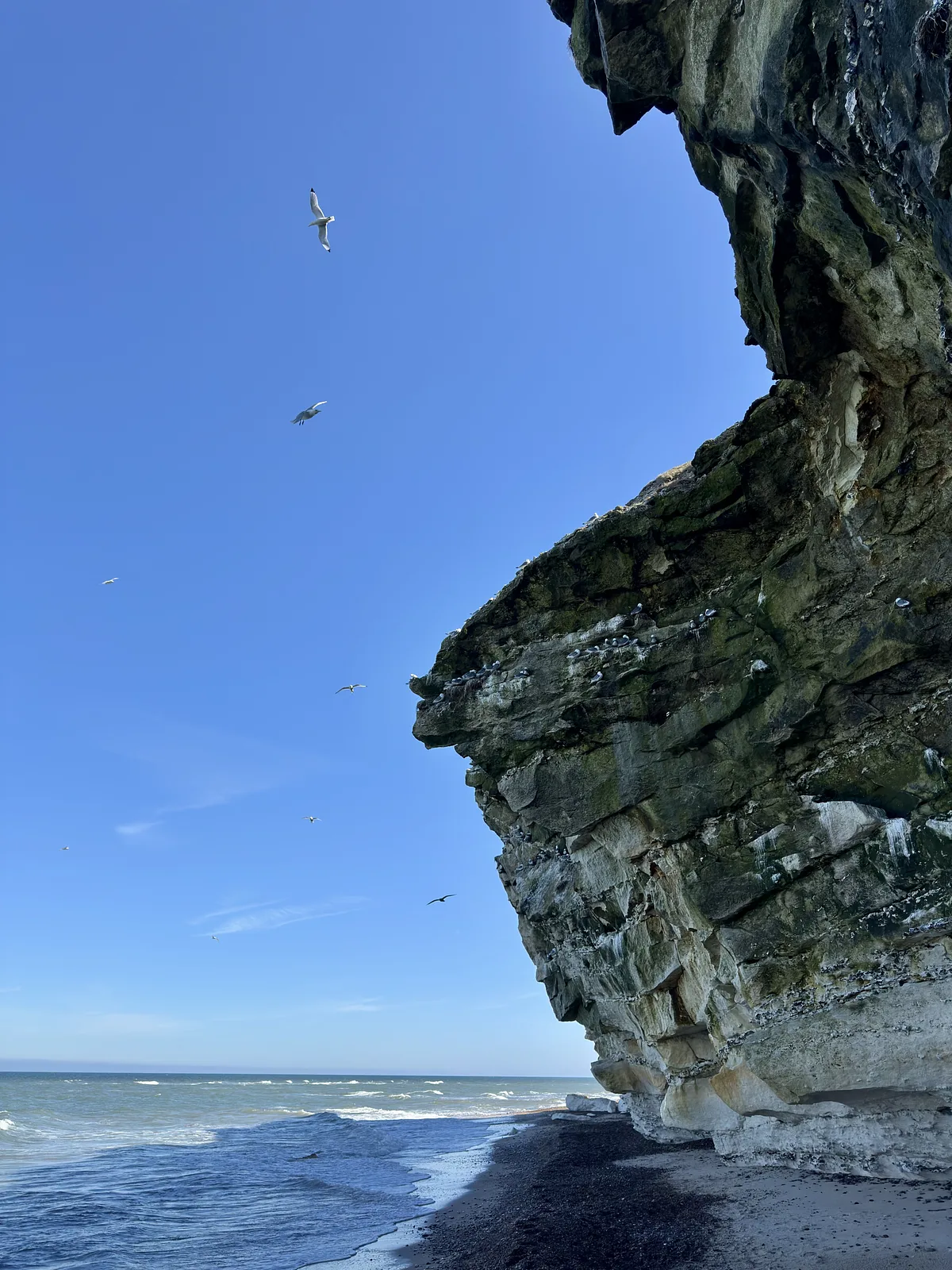Bulbjerg Knude Fuglefjeld