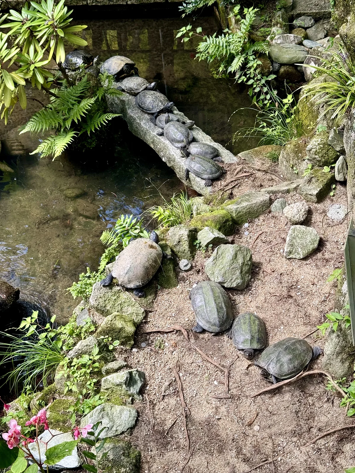 Nanzoin Temple